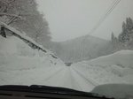 DSC_0595.jpg